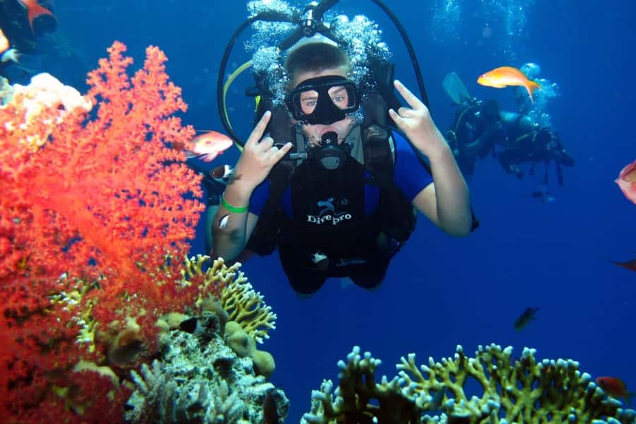 From Sharm: Ras Mohammed snorkeling cruise & optional diving - Lunch on deck after the water stops