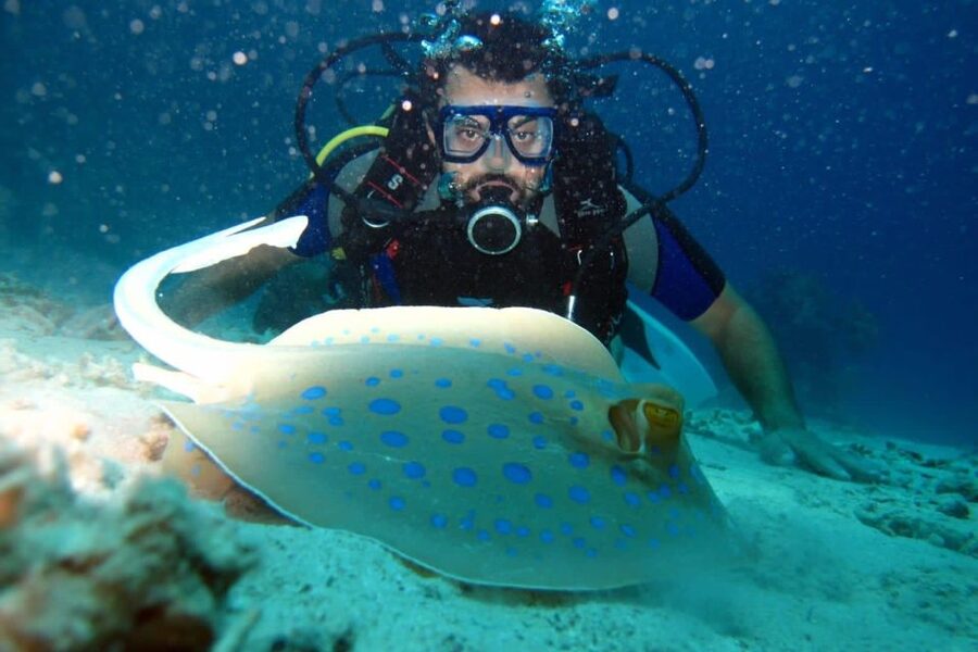 From Sharm: Ras Mohammed snorkeling cruise & optional diving - Is $31 good value?