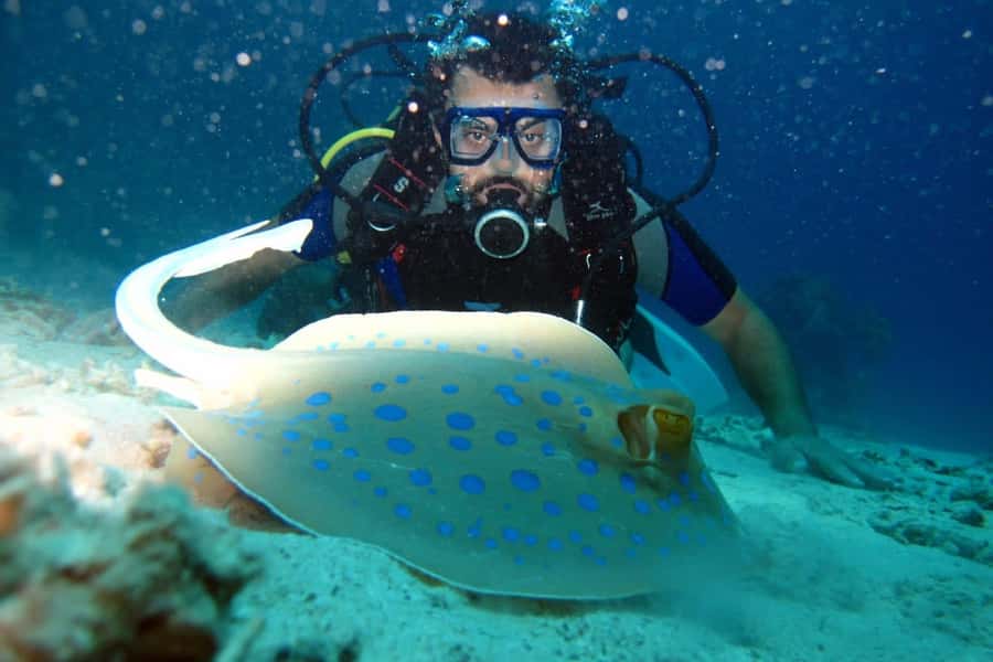 From Sharm: Ras Mohammed snorkeling cruise & optional diving - Who will enjoy this Red Sea cruise most?