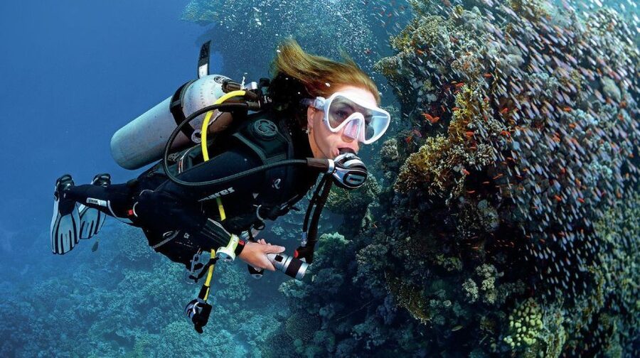 From Sharm: Ras Muhammed & White Island By Boat & intro Dive - The included introductory scuba session