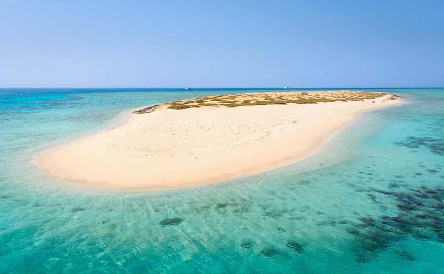 From Sharm: White Island and Ras Mohamed Snorkeling Trip - Key points to know before booking