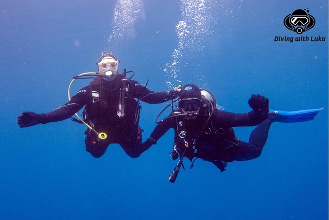 Full day diving with private guide, lunch drinks transportation - A good choice for first-time and returning scuba guests