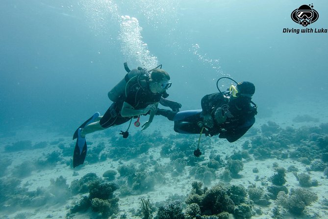 Full day diving with private guide, lunch drinks transportation - Lunch between the two sessions
