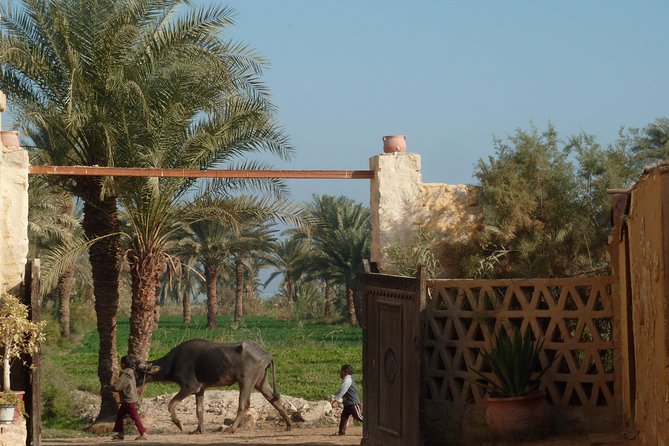 Full-Day Fayoum Oasis and Waterfalls of Wadi El-Rayan Tour from Cairo - Fayoum’s museum and its painted faces