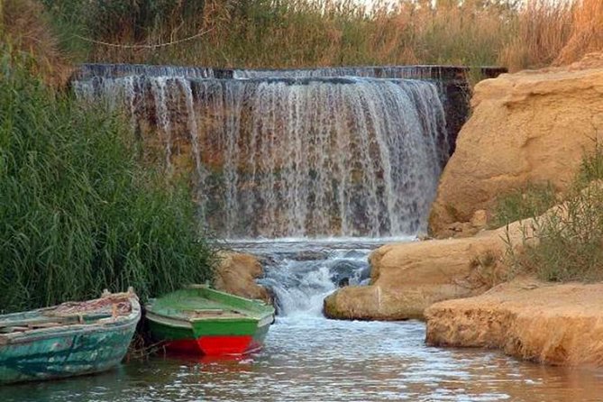 Full-Day Fayoum Oasis and Waterfalls of Wadi El-Rayan Tour from Cairo - Lunch at a local Egyptian restaurant