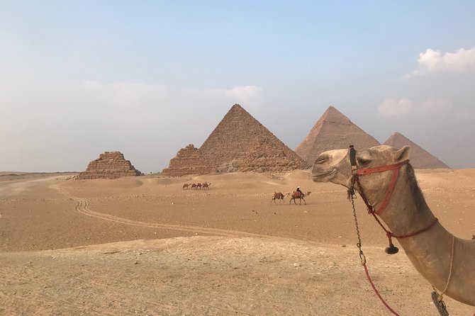 Full-Day Giza Pyramids and Egyptian Museum Private Tour - What the private guide changes at Giza