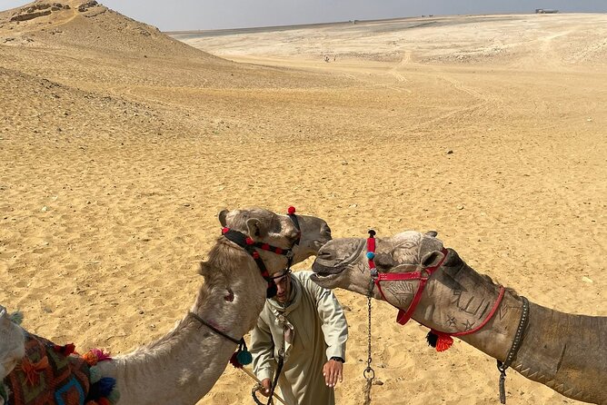 Full Day Private Guided Tours to Pyramids & Sphinx - What the guide adds to the visit