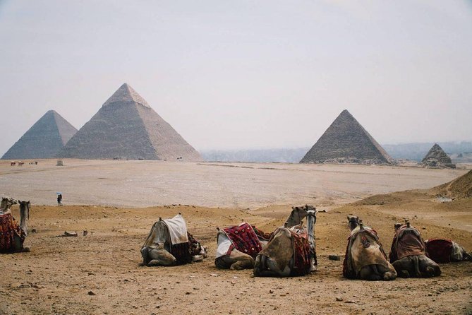 Full Day Tour to Pyramids of Giza, Saqqara Step Pyramids & Sound and Light Show - Saqqara and Djoser’s Step Pyramid