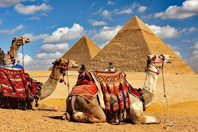 Full Day Tour to Pyramids of Giza, Saqqara Step Pyramids & Sound and Light Show - The Great Sphinx and its compact visit