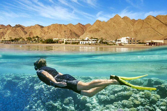 Full Relaxing Day To The Red Sea From Cairo Or Giza Hotel - Checking into a beach resort for the day