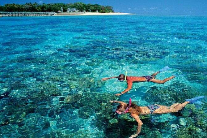 Full Relaxing Day To The Red Sea From Cairo Or Giza Hotel - Is $63 a fair price?