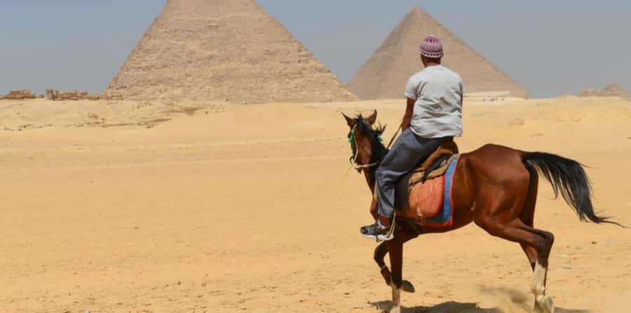 Giza: Arabian Horse Tour Around the Giza Pyramids - What this $20 Giza ride actually offers