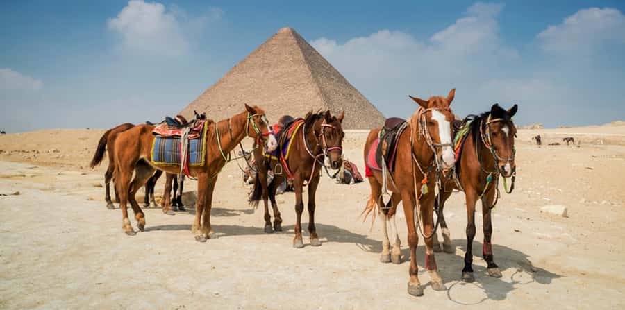 Giza: Arabian Horse Tour Around the Giza Pyramids - The camel ride needs clarification