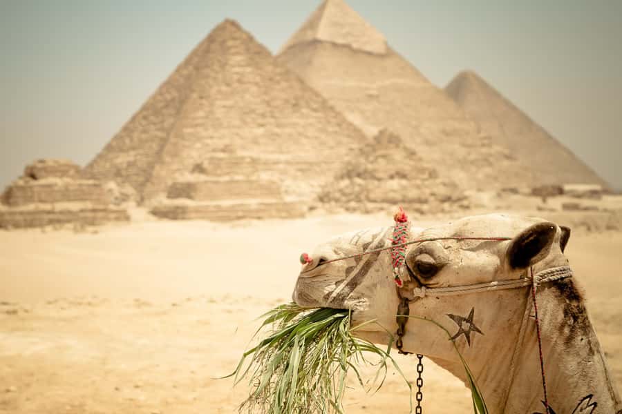 Giza Pyramids and Sphinx: Half-Day Private or Group Tour - Heat, clothing, and photo planning