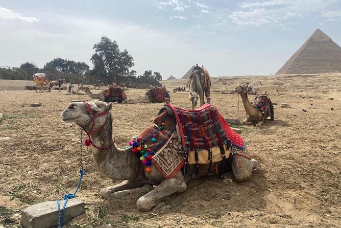 Giza Pyramids,Sphinx,Camel Ride,ATV Bike,Shopping, Dinner cruise - Ending on the Nile with dinner and live shows