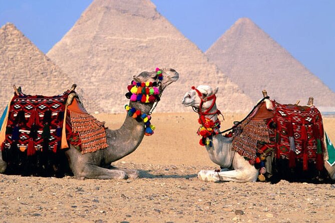 Giza Pyramids, Sphinx, Memphis, Saqqara, with private tour guide - Who should book this Giza and Saqqara tour
