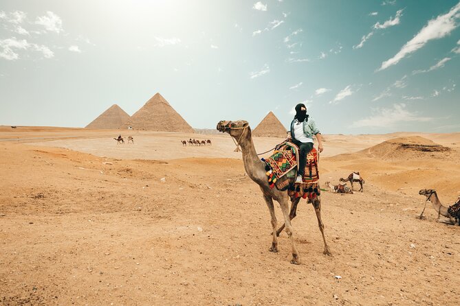 Giza Pyramids , Sphinx ,Saqqara and Memphis Private Tour - Tomb scenes that show ordinary ancient life
