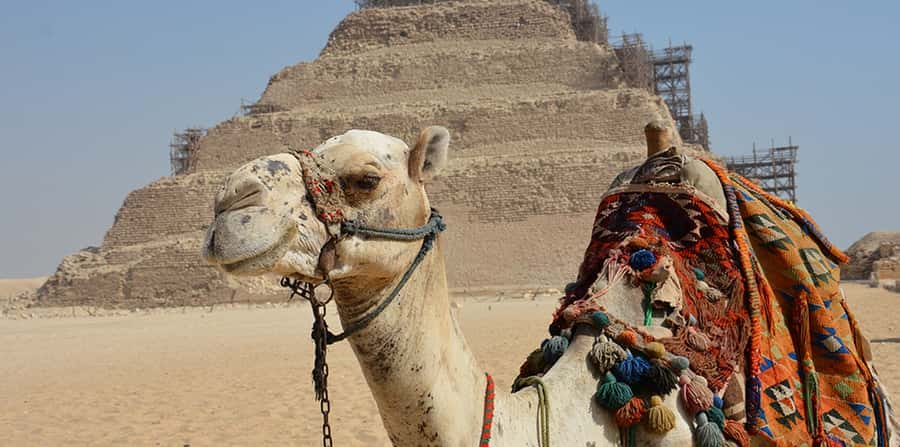 Giza: Sakkara, Memphis & Dahshur (Pyramid & Felucca Options) - Shopping stops and optional extras