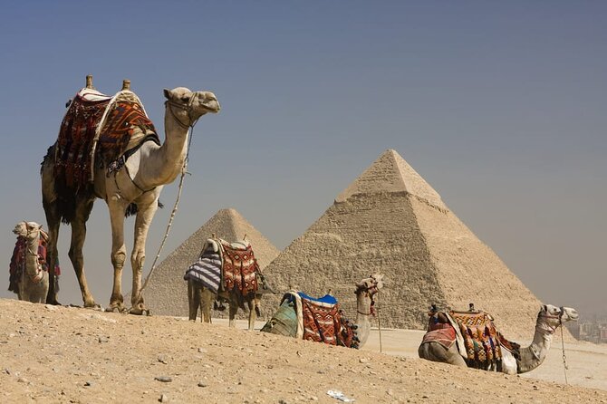 Grand Egyptian Museum All Inclusive Tour - The limited-access sights worth your time