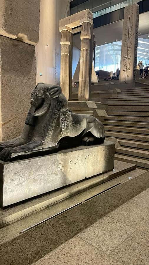 Grand Egyptian Museum Private Guided Tour(GEM) - What the private format adds