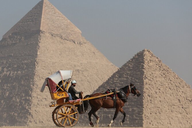 Great Grand Egyptian Museum with professional Egyptologist. - Who will get the most from this private visit