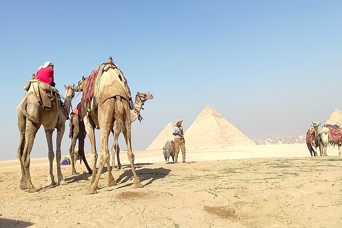 Half day Giza pyramids and Sphinx tour with an Egyptologist - What the guides add to the visit