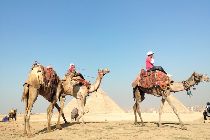 Half day Giza pyramids and Sphinx tour with an Egyptologist - Timing, transport, and the real half-day trade-off