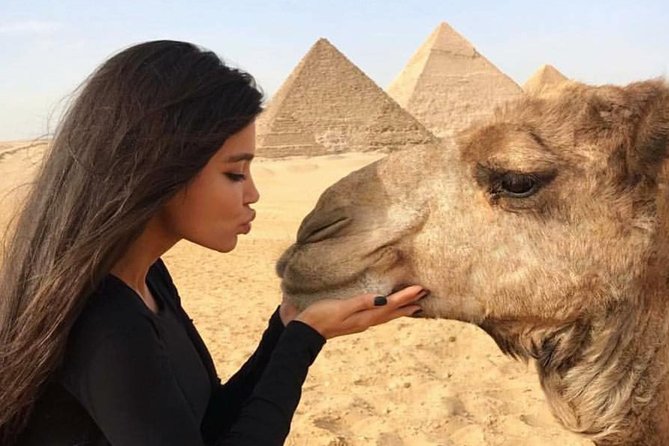 Half Day Private Tour to Giza Pyramids Sphinx - What this four-hour Giza visit is really like