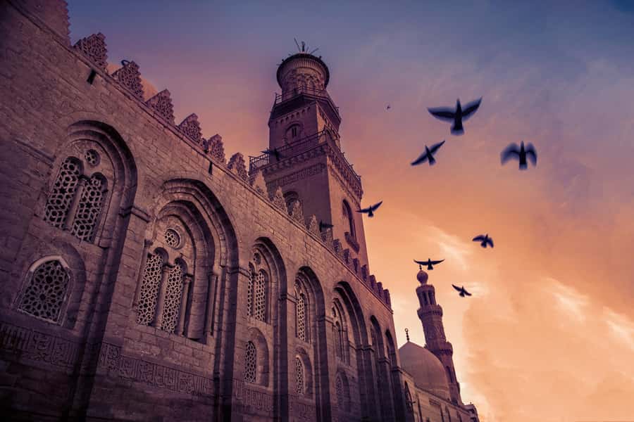 Half Day Tour: El Moez Street, Al Azhar Park and Bazar - Key points to know before booking