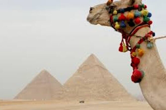 Half Day Tour To Giza Pyramids And Sphinx - Who should book this tour