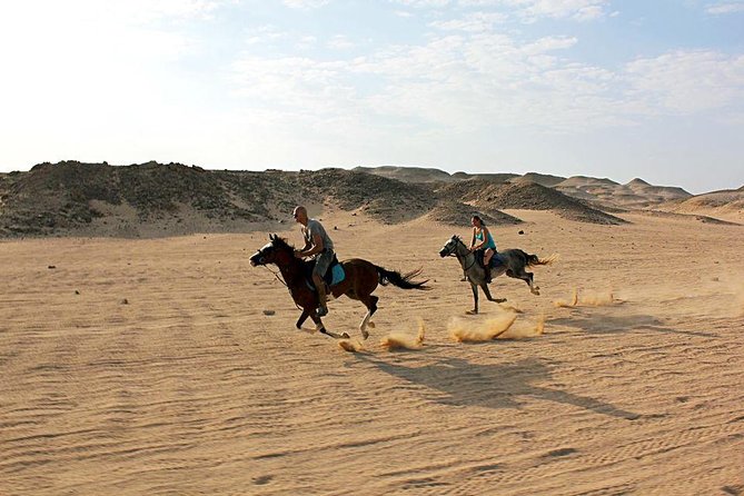 Horse Riding Tour 2 Hours on Sea And Desert & Transfer -Hurghada - Horse care is the main concern