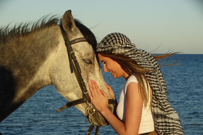 Horse Riding Tour 2 Hours on Sea And Desert & Transfer -Hurghada - Pickup, timing, and the real price