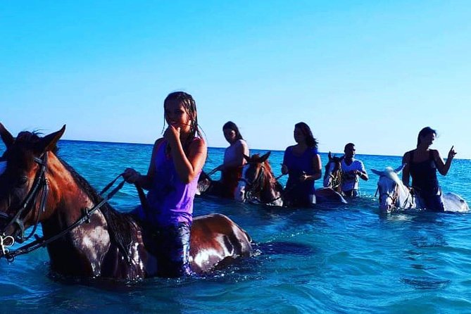 Horse Riding Tour 2 Hours on Sea And Desert & Transfer -Hurghada - Who should book this horse ride?