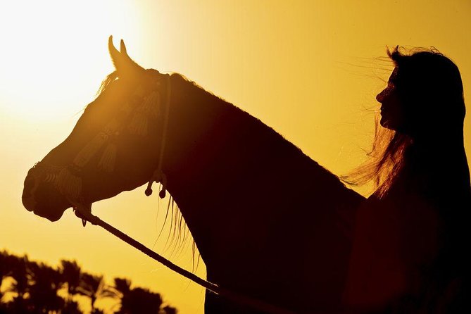 Horse Riding Tour 2 Hours on Sea And Desert & Transfer -Hurghada - What to wear and bring