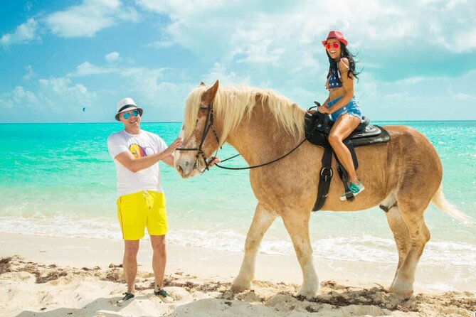 Horseback Riding with Pickup and Drop-off from Sharm El Sheikh - Horses, saddles, and care standards
