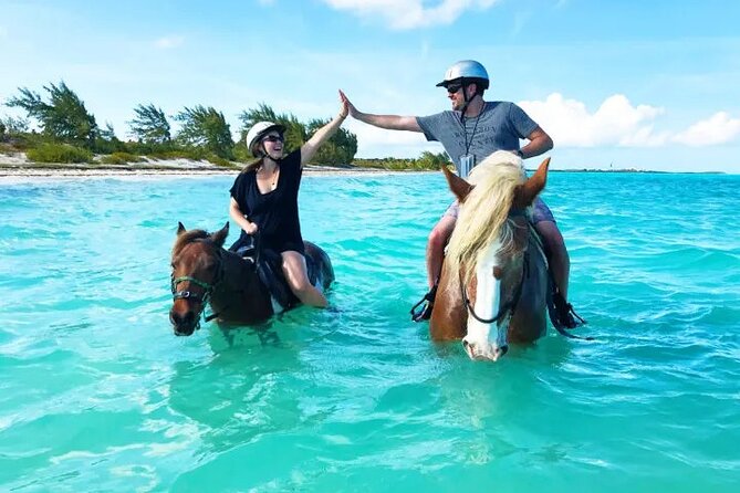 Horseback Riding with Pickup and Drop-off from Sharm El Sheikh - How the price compares with the experience