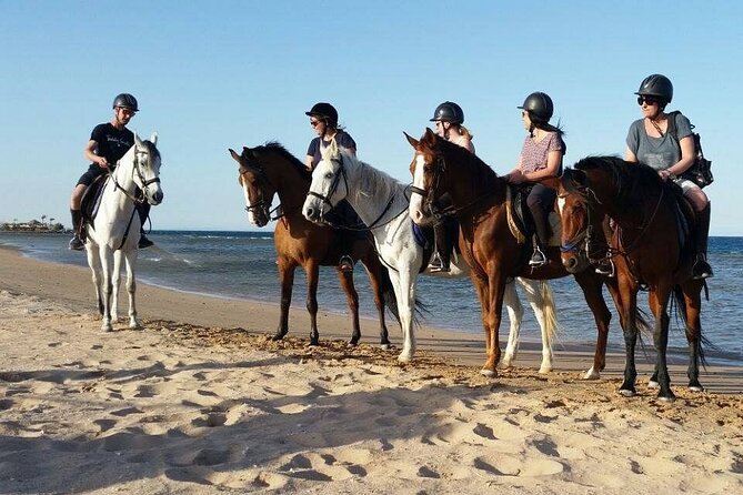 Horseback Riding with Pickup and Drop-off from Sharm El Sheikh - Photos, timing, and small practical issues