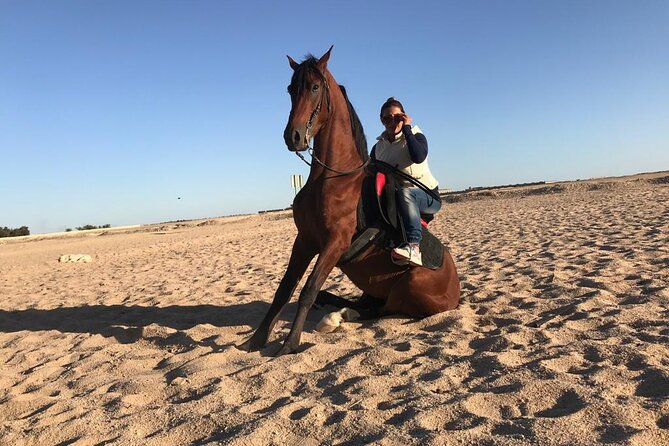 Horseback Riding with Pickup and Drop-off from Sharm El Sheikh - What the first riding lesson covers