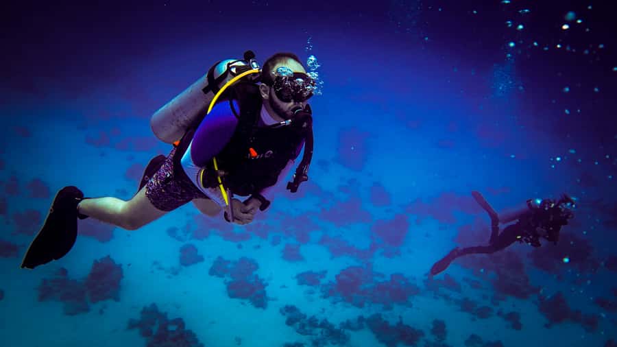 Hurghada: 1, 2, 3, 4, or, 5-Day Scuba Diving Package - Two Red Sea reefs in one seven-hour day