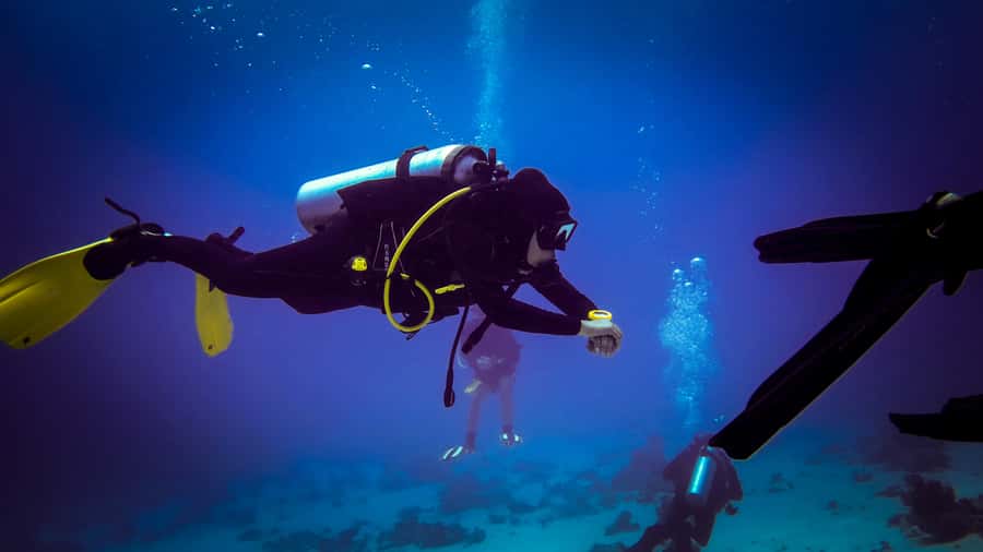 Hurghada: 1, 2, 3, 4, or, 5-Day Scuba Diving Package - What happens beneath the surface