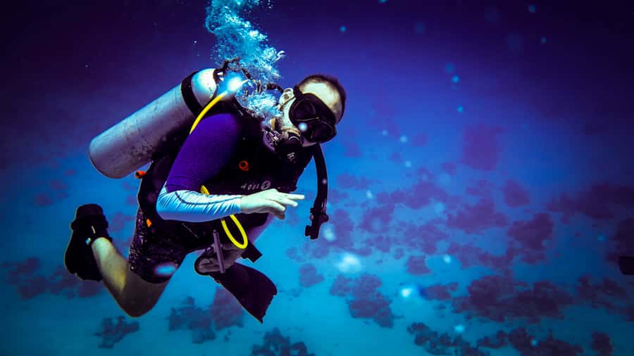 Hurghada: 1, 2, 3, 4, or, 5-Day Scuba Diving Package - One day or a five-day package?