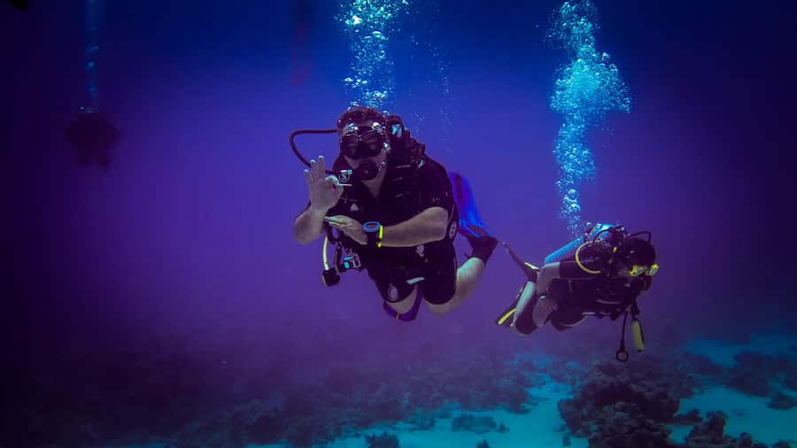 Hurghada: 1, 2, 3, 4, or, 5-Day Scuba Diving Package - Who should book this Red Sea experience?