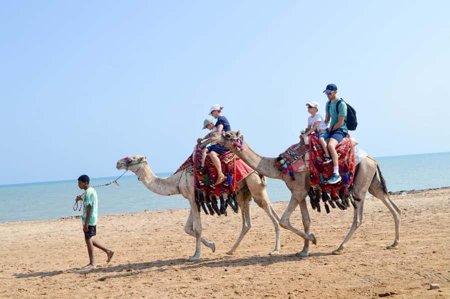 Hurghada: 1-Hour Desert & Beach Camel Ride with Transfers - Key points to know before booking