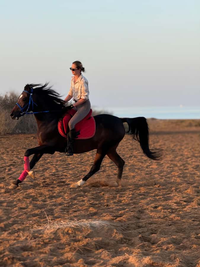 Hurghada: 1-Hour Desert & Beach Camel Ride with Transfers - Timing, comfort, and practical planning