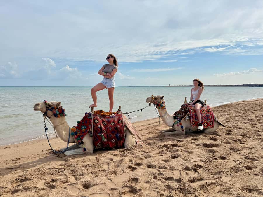 Hurghada: 1-Hour Desert & Beach Camel Ride with Transfers - Who will enjoy this most