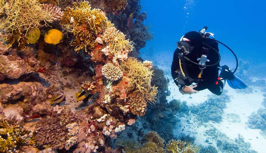 Hurghada: 3-Day PADI Open Water Diving Course - Who will get the most from this course?