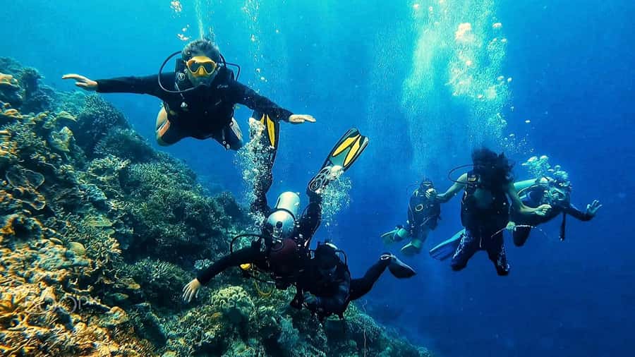 Hurghada: 3-Day PADI Open Water Diving Course - Day two: building control in Red Sea conditions