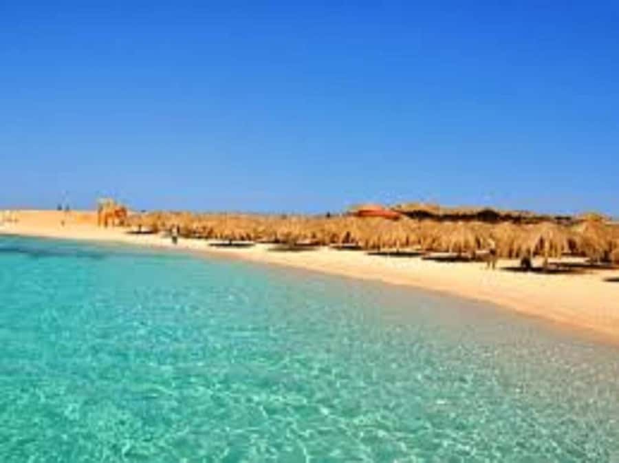 Hurghada: 3-Island Speedboat, Dolphin Watching & Snorkeling - Food, drinks, and what to pack