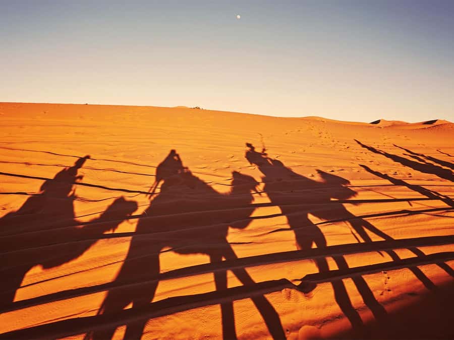 Hurghada: 6-Hour Jeep Desert Safari, Dinner, and Show - Quad bikes and spider buggies: confirm what your option includes