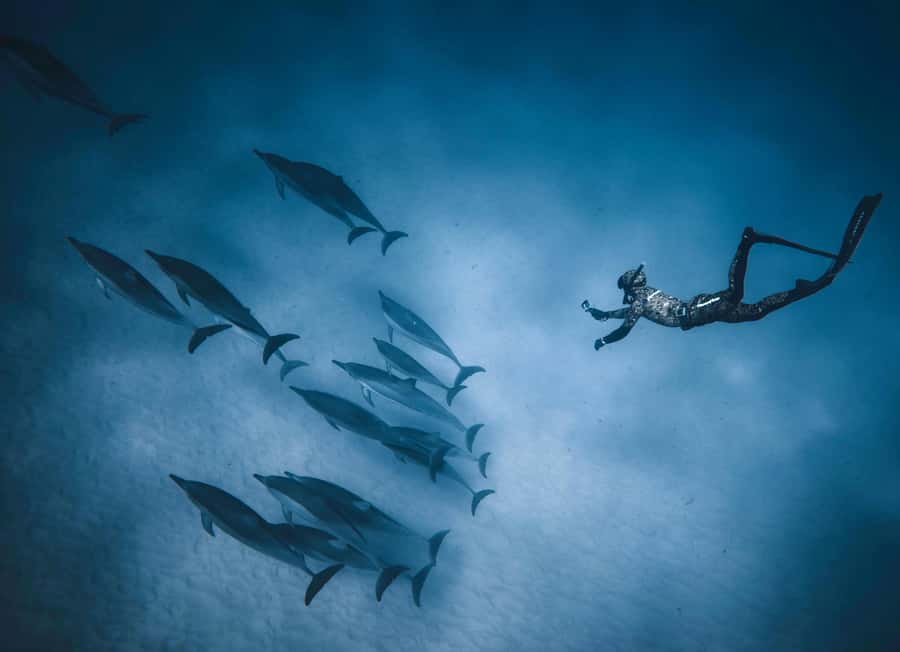 Hurghada: All-Inclusive Elite VIP Dolphin House & Massage - Salam, the crew, and the onboard atmosphere